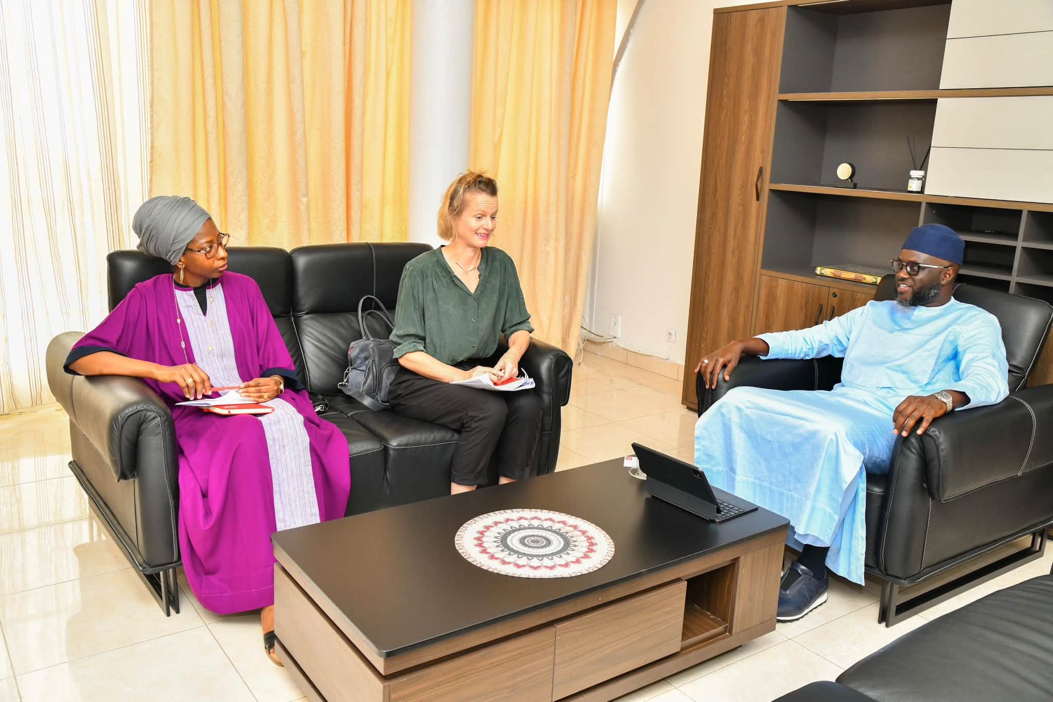 Coopération institutionnelle et gouvernance démocratique : El Malick Ndiaye reçoit la Fondation Friedrich Ebert et représentera le Sénégal au Botswana