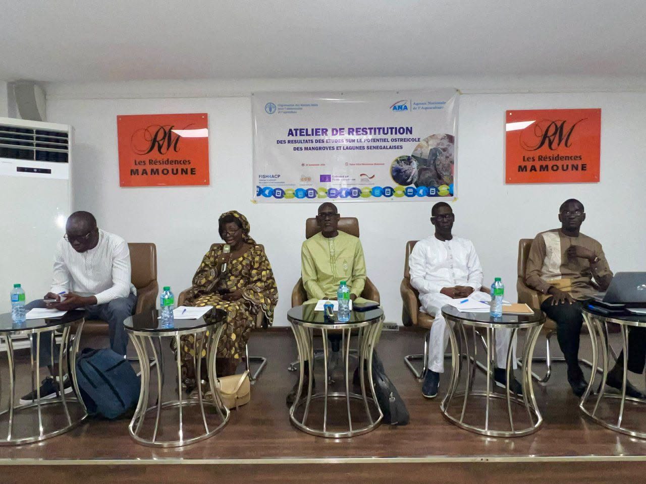 Filière ostréicole : l’ANA dévoile le potentiel des mangroves et lagunes du Sénégal