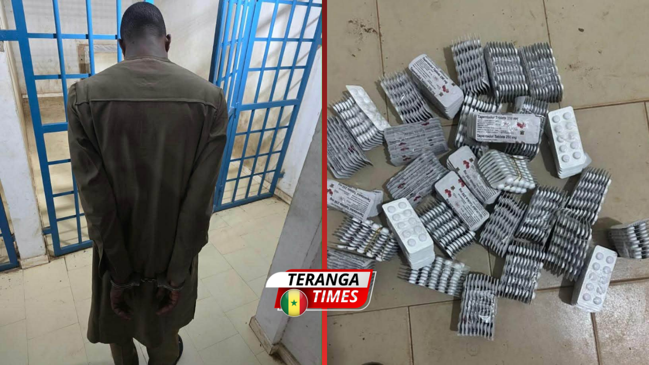 Saisie de Douane à Koungheul: 3 000 comprimés de Tapentadol interceptés