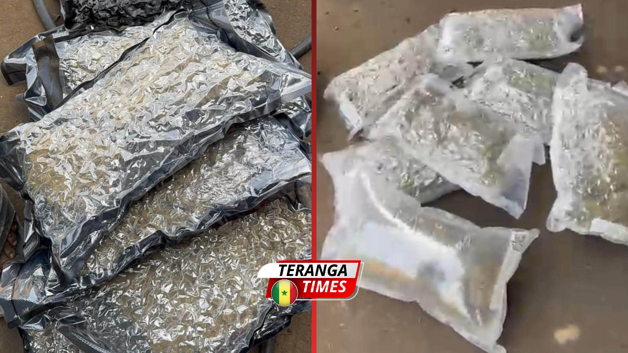 Lutte contre le trafic de drogue : Saisie de 10 kg de haschich d'une valeur de 120 millions FCFA au Port de Dakar