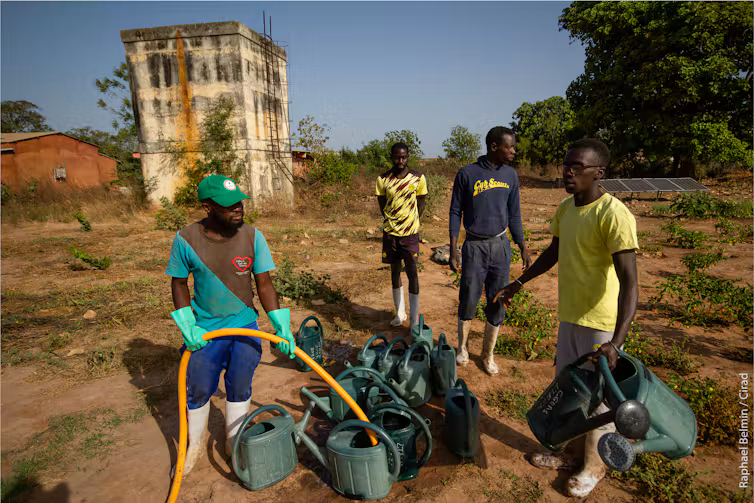 Casamance : le projet CHANGES mise sur l’agroécologie et la sécurité alimentaire
