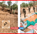 https://www.terangatimesn.com/Kedougou-six-sites-d-orpaillage-clandestins-demanteles-pres-de-la-Faleme_a234.html