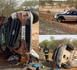 https://www.terangatimesn.com/Accident-entre-Linguere-et-Matam-un-mort-et-13-blesses-dans-une-collision-entre-un-4x4-et-un-vehicule-de-transport_a762.html