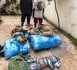 https://www.terangatimesn.com/Lutte-contre-le-trafic-de-drogue-243-kg-de-chanvre-indien-saisis-a-Thiaroye-sur-Mer_a1095.html