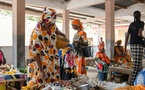 Seen suuf : renforcer les communautés rurales pour une sécurité alimentaire durable au sénégal
