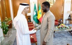 Rencontre au Sommet : Bassirou Diomaye Faye reçoît la délégation des Émirats Arabes Unis