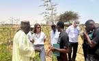 Entrepreneuriat et Innovation Agricole : l’Ambassade des Pays-Bas au cœur des solutions durables à Louga et Lompoul