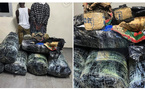 Thiaroye-sur-Mer: Plus de 300 kg de chanvre indien saisis, deux trafiquants interpellés par la Gendarmerie