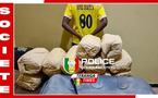 Ziguinchor : La Sûreté urbaine frappe un grand coup, un trafiquant interpellé avec 12 kg de chanvre indien près de Boutoute