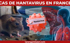 Santé: Un cas de hantavirus détecté chez un touriste ayant transité par la France et désormais isolé en Espagne