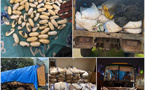 Lutte contre les Trafics &amp; Protection Territoriale : Saisie record de cocaïne et de 7,5 tonnes de cyanure par les Douanes à Kédougou !