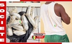 Dakar / Lutte contre la drogue : La police de la Médina saisit 225g de cocaïne à Yoff