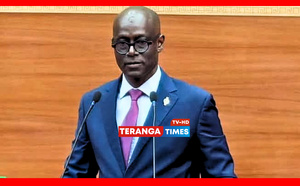 Massacres ethniques au Mali et au Burkina : Thierno Alassane Sall dénonce avec fermeté