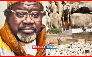 Médina Baye : L’Imam Cheikh Tidiane Aliou Cissé offre 700 béliers aux nécessiteux