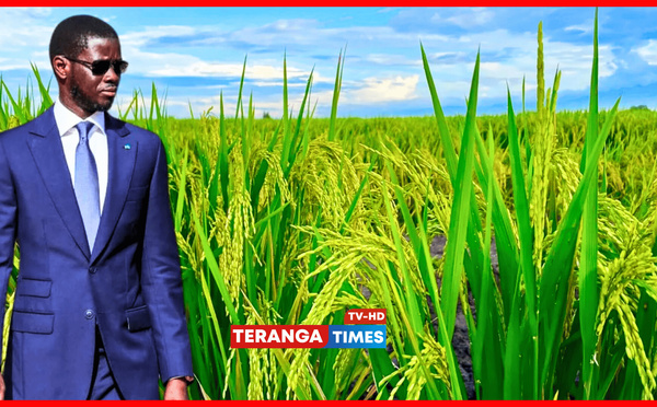 AGRICULTURE ET ÉCONOMIE BLEUE : L’ÉTAT ACCÉLÈRE LA CADENCE POUR UNE TRANSFORMATION DURABLE