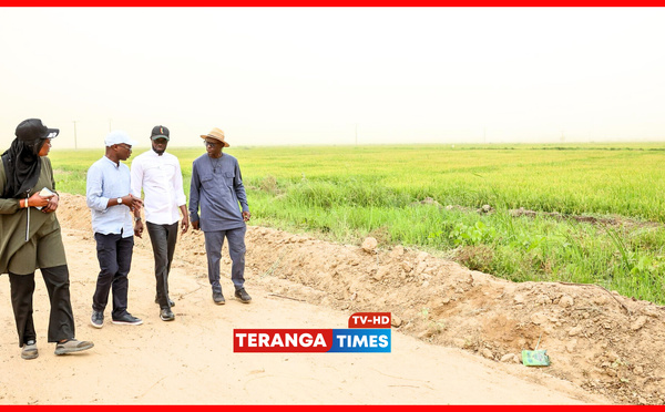 Souveraineté alimentaire au Sénégal : Le Président Diomaye constate les avancées du Projet de Développement Rural de Savoigne