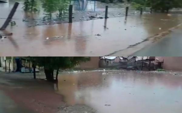 Tambacounda sous les eaux : 112 mm de pluie, des dégâts humains et matériels considérables