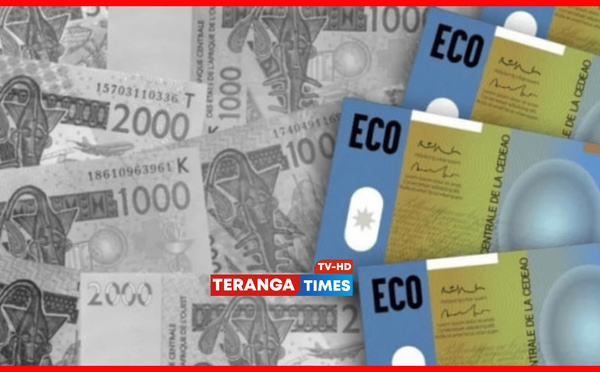 Monnaie unique de la CEDEAO : l’Eco annoncée pour 2027, avec ou sans tous les États membres