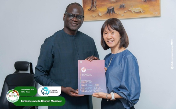 Dr El Hadji Abdourahmane Diouf échange avec la Banque mondiale sur l’action environnementale du Sénégal