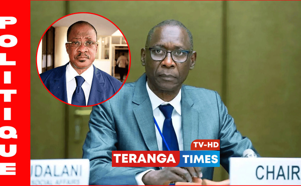 Sénégal : Me Madické Niang salue la nomination de Cheikh Niang comme ministre des Affaires étrangères