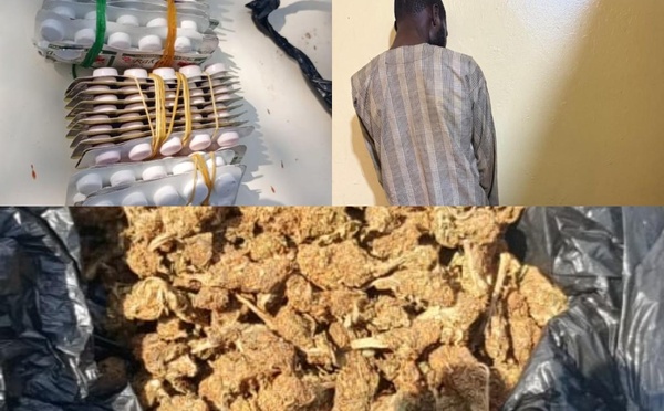 Kédougou : arrestation d’un Malien en possession de drogue à la frontière