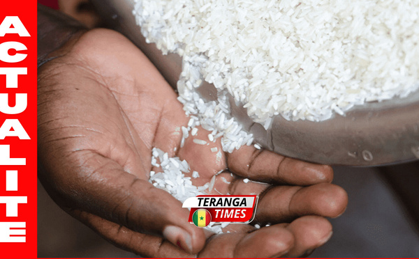 Le gouvernement renforce la commercialisation du riz sénégalais et soutient les producteurs locaux.
