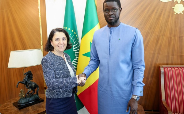 Diomaye Faye échange avec Citigroup sur de nouveaux partenariats financiers au Sénégal