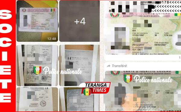 Trafic de faux documents : trois personnes déférées à ziguinchor