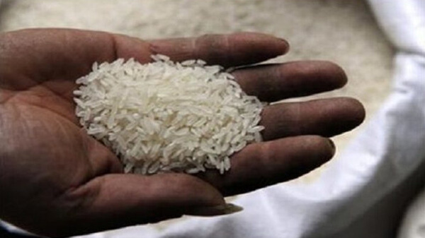 Prix du riz brisé : l’État sénégalais fixe le kilo à 300 F CFA à Dakar
