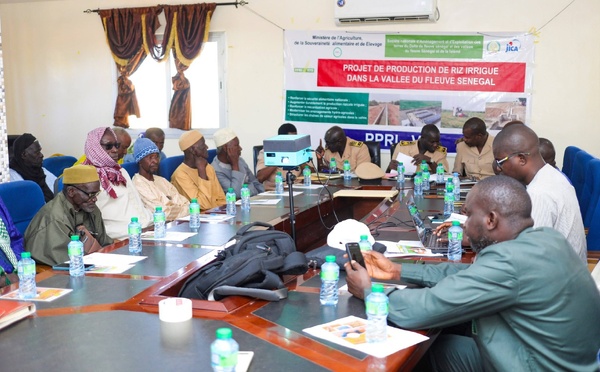 Podor : Présentation du Projet de Production de Riz Irrigué dans la vallée du Fleuve Sénégal