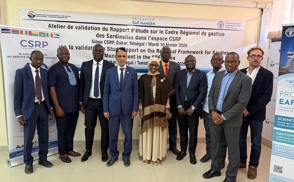 Pêche Durable : Six pays de la CSRP valident un cadre historique pour la gestion des Sardinelles