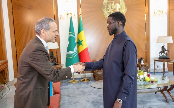 Bassirou Diomaye Faye reçoit le DG de TARANIS Energy for Africa