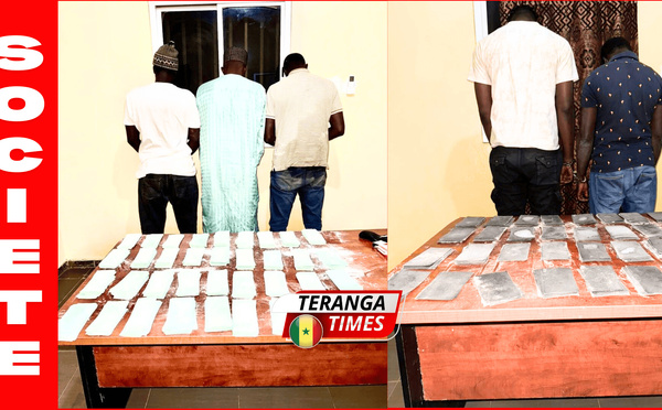 CRIMINALITÉ FINANCIÈRE : Les Douanes saisissent 730 millions FCFA en « billets noirs »