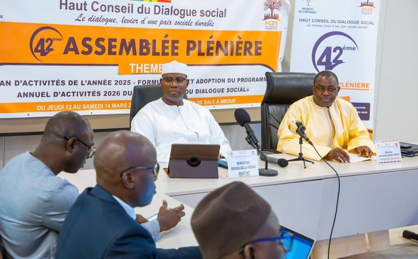 Transformation territoriale : Moussa Bala Fofana mobilise le HCDS pour la réforme des Pôles-Territoires