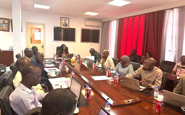 Étiquetage énergétique: le Sénégal accélère vers une consommation électrique plus maîtrisée