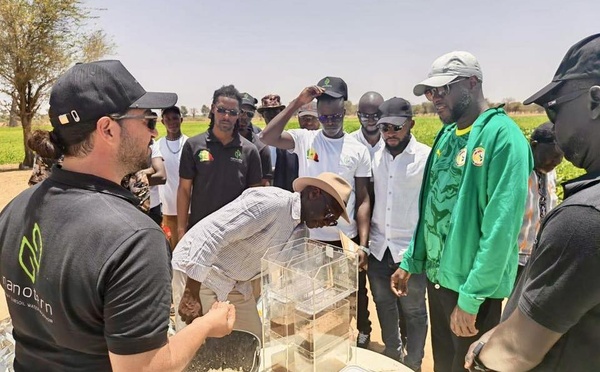Agriculture : El Malick Ndiaye appelle à une mobilisation pour la souveraineté alimentaire