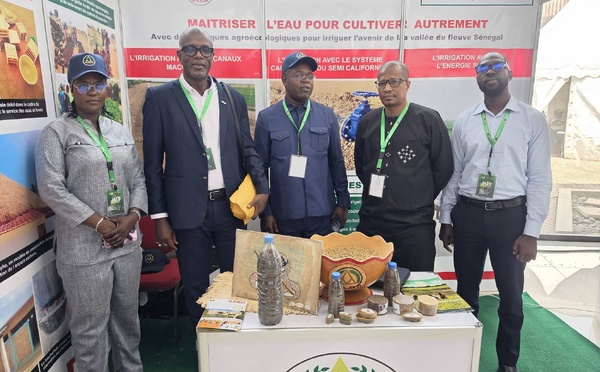 Vallée du Fleuve Sénégal: La SAED s'engage pour l'institutionnalisation de l'agroécologie à la JAES 2026
