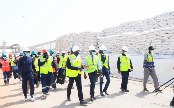 Campagne hivernale 2026: Le Sénégal sanctuarise sa souveraineté agricole avec un stock record d'intrants