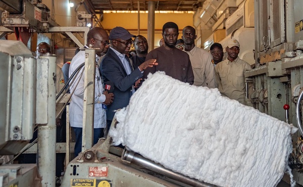Filière Coton : À Vélingara, le Chef de l’État Diomaye FAYE érige la SODEFITEX en levier d’industrialisation rurale