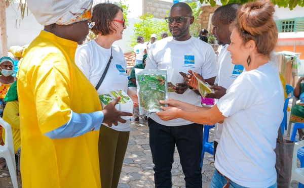 Stratégies d’exportation : L'ASEPEX mise sur l'immersion terrain pour conquérir le marché germanophone