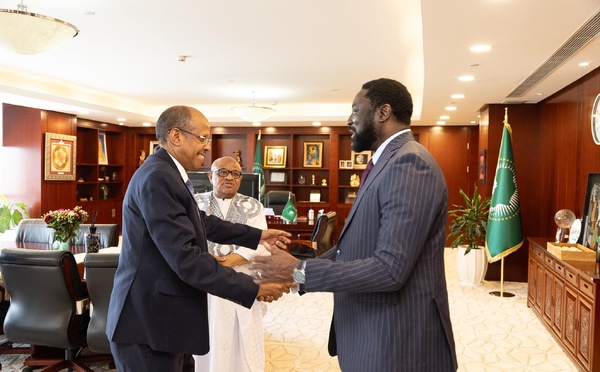 Union africaine : échanges autour de la stabilité et du dialogue au Sahel