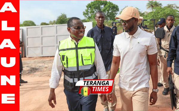 Reconduction ministérielle : Le Dr Serigne Guèye Diop exprime sa gratitude aux autorités et fixe le cap de l'industrialisation nationale