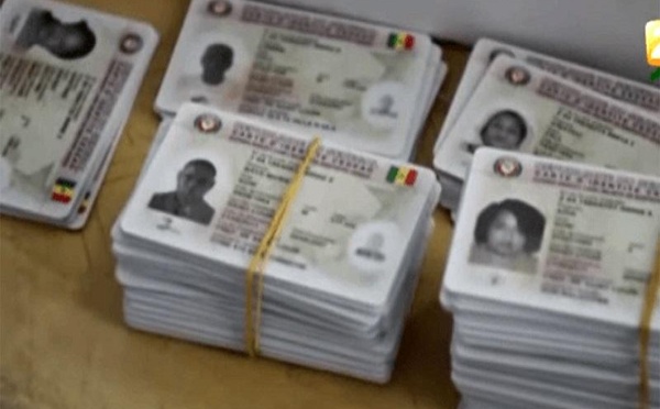 Élections &amp; Citoyenneté : Processus électoral au Sénégal : La DGE annonce la disponibilité des cartes d’électeur de la révision 2025