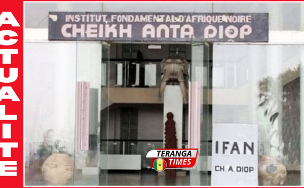UCAD : L’IFAN numérise et restitue le trésor documentaire de Lilyan Kesteloot sur les traditions orales africaines