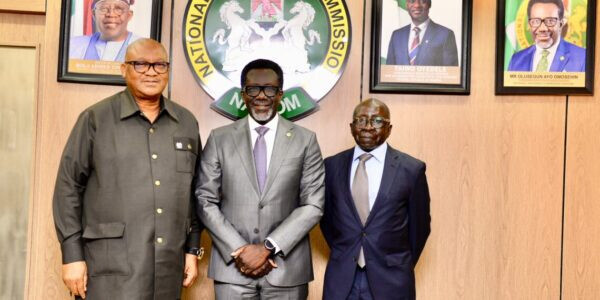 Nigeria : La NAICOM rend African Alliance Insurance à ses actionnaires après un redressement réussi