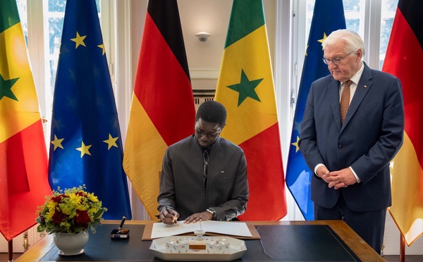 Sénégal - Allemagne : Le Président Bassirou Diomaye Faye clôture sa visite officielle par un entretien au sommet avec Frank-Walter Steinmeier