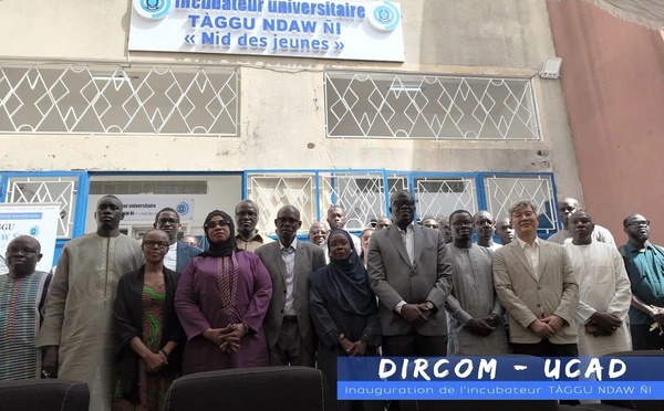 Entrepreneuriat étudiant: L’UCAD inaugure Taggu Ndaw Ni, le nouvel incubateur pour transformer les projets des jeunes
