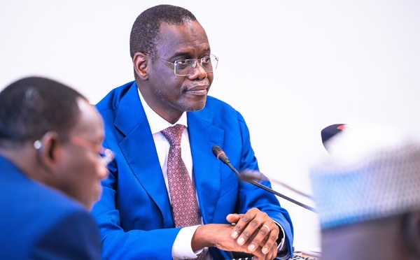 Filière maïs : l'État du Sénégal vise 50 000 tonnes de production locale contractualisée