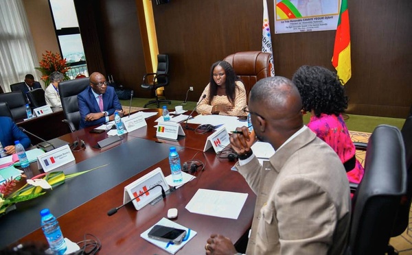 Diplomatie au Cameroun : La délégation de l'Assemblée nationale du Sénégal brille lors des travaux des commissions de l'APF à Yaoundé