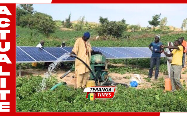 Transition énergétique : L'ANER prévoit 13 milliards de FCFA d’économies annuelles grâce au pompage solaire rural